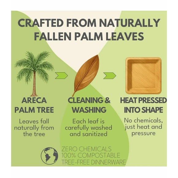 Raj Eco Compostable Palm Leaf Plates like Bamboo Plates Disposable - 8 Inch Squr - Picture 8 of 10